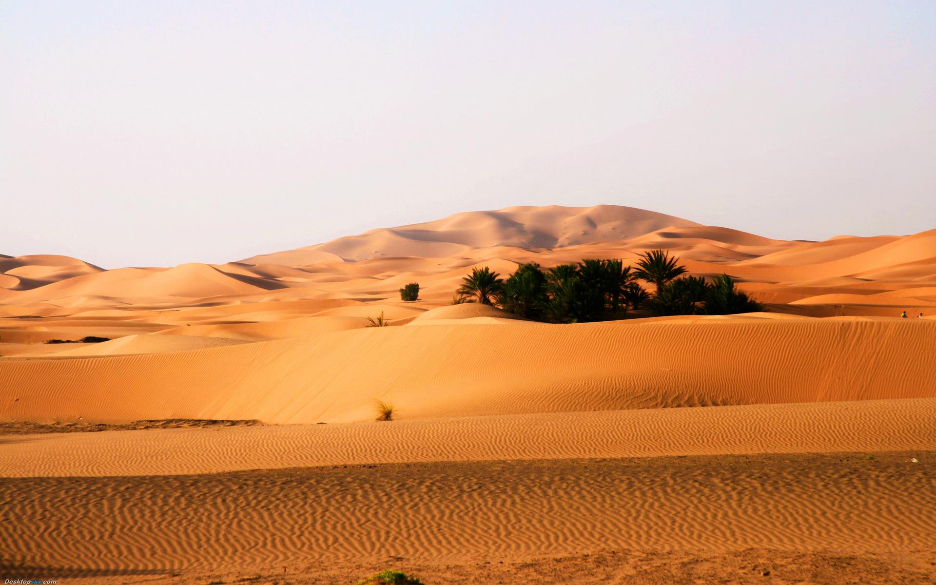 荒漠生態系統——荒漠化是對人類的嚴峻挑戰